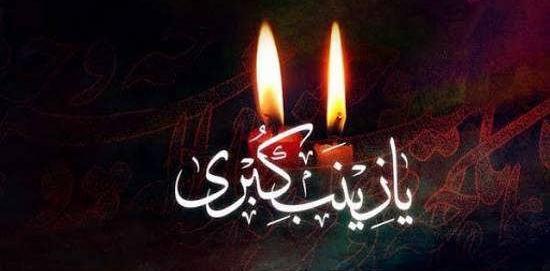 عکس زینب زیبا
