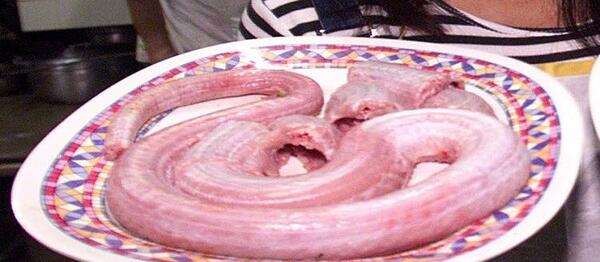 عکس بابادوک