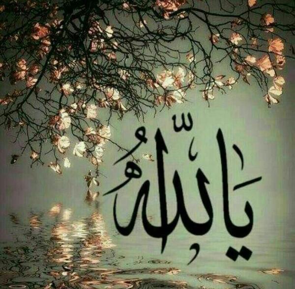 عکس الله شکرت