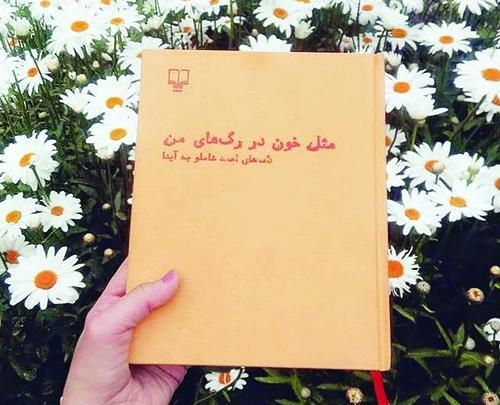 عکس نوشته شاملو به آیدا