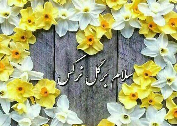 عکس نوشته بر قامت دلربای مهدی صلوات