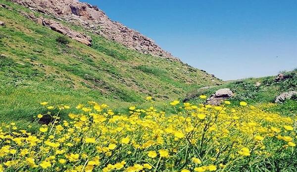 عکس طبیعت زیبای کردستان