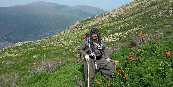 عکس طبیعت زیبای کردستان