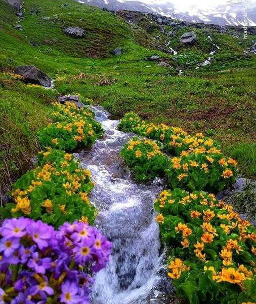 عکس طبیعت زیبای کردستان