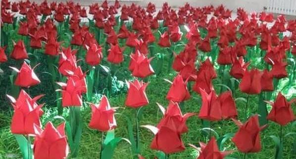 عکس گل لاله برای دهه فجر