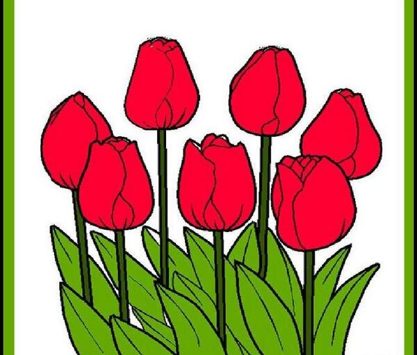 عکس گل لاله برای دهه فجر