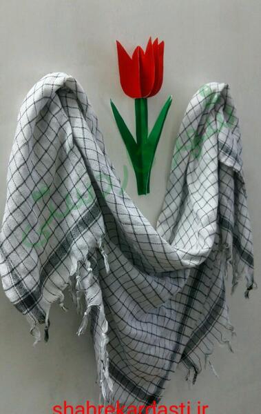 عکس گل لاله برای دهه فجر