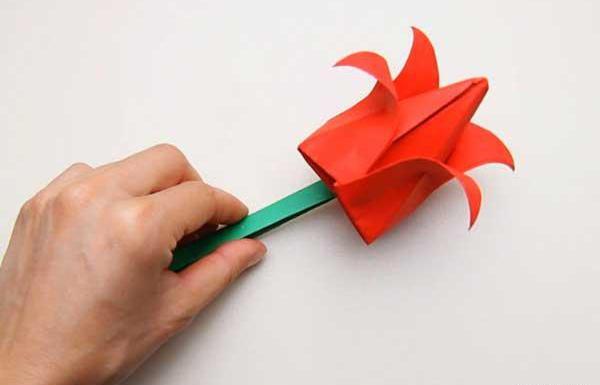 عکس گل لاله برای دهه فجر