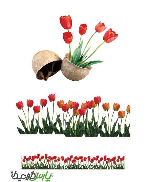 عکس گل لاله برای دهه فجر
