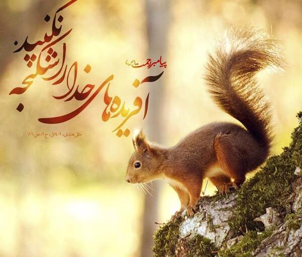 عکس نوشته احادیث آموزنده