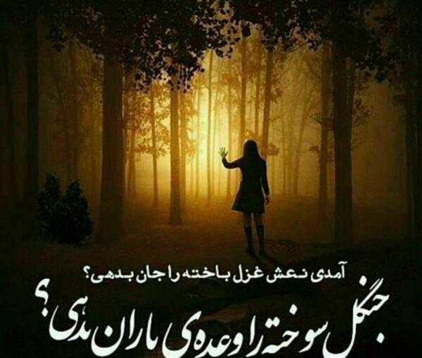 عکس نوشته های احسان افشاری