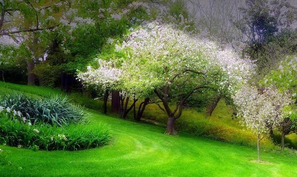 عکس پروفایل مخصوص طبیعت