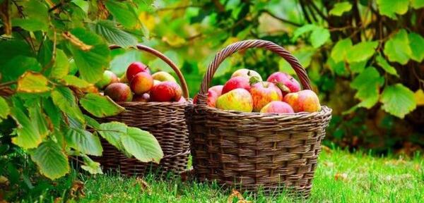 عکس پروفایل مخصوص طبیعت