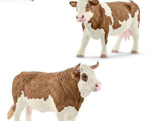 عکس گاو قطبی