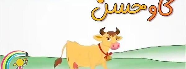 عکس گاو قطبی