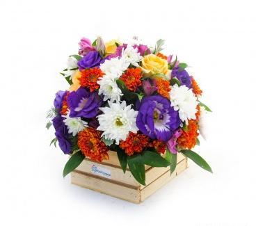 عکسهای گل بیتا