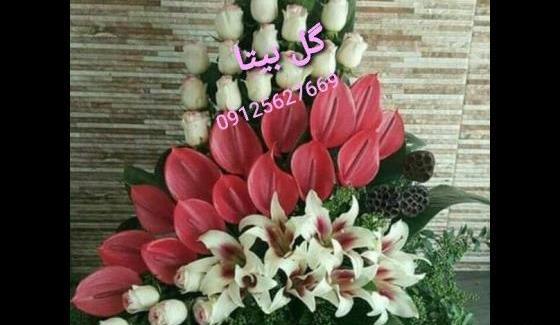 عکسهای گل بیتا