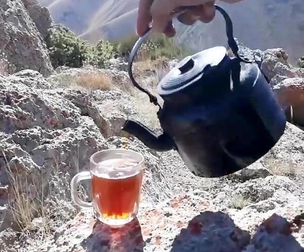 عکس چای هیزمی در طبیعت