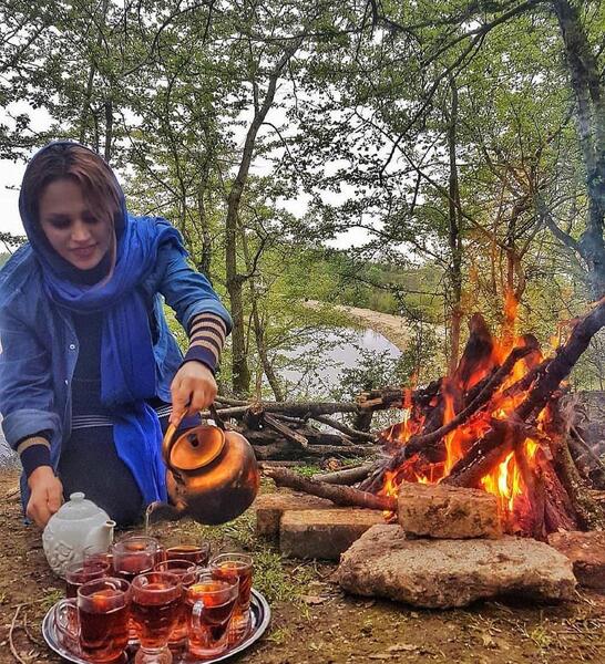عکس چای هیزمی در طبیعت