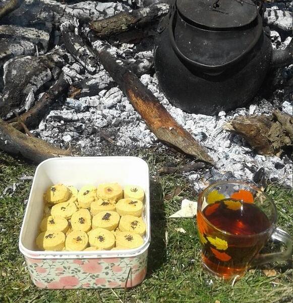 عکس چای هیزمی در طبیعت