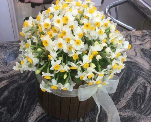 عکس سبد گل نرگس