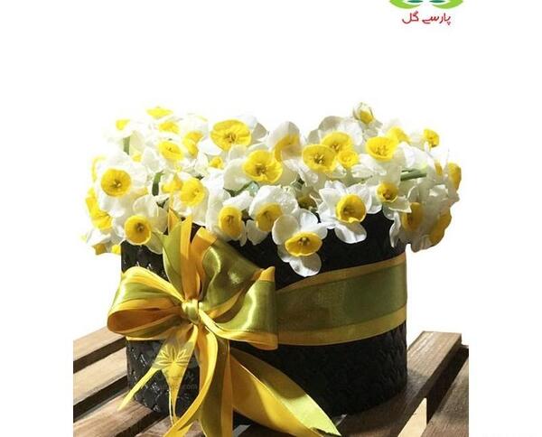 عکس سبد گل نرگس
