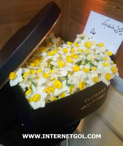 عکس سبد گل نرگس