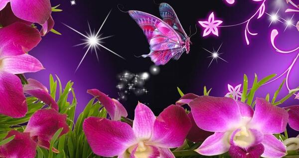 عکس پروانه پروفایل