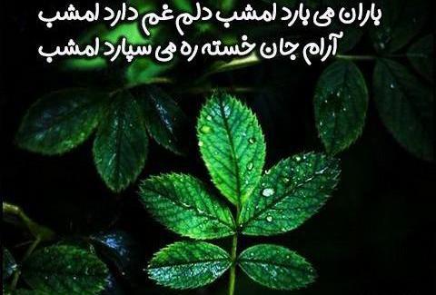 عکس باران میبارد امشب دلم غم دارد امشب