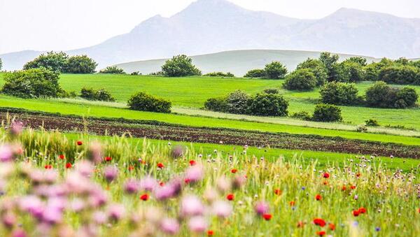 عکس از طبیعت اردبیل
