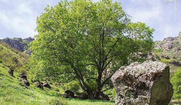 عکس از طبیعت اردبیل