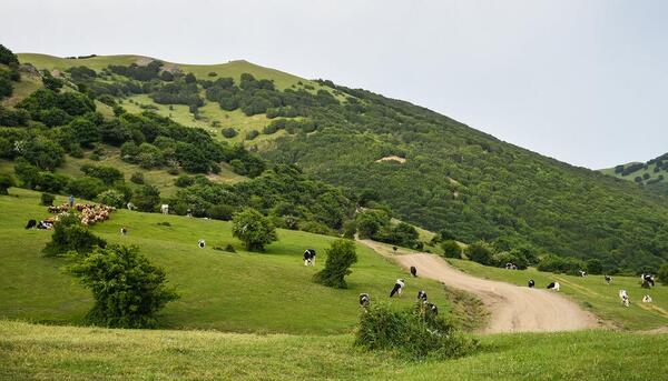 عکس از طبیعت اردبیل