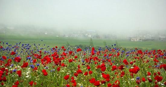 عکس از طبیعت اردبیل
