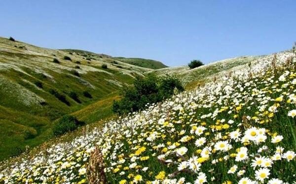 عکس از طبیعت اردبیل