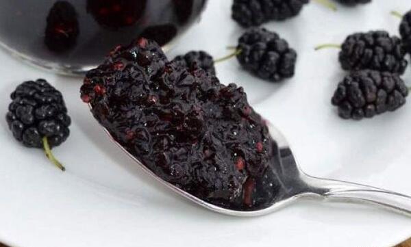 عکس لواشک شاتوت