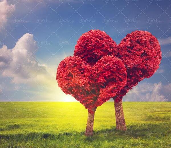 عکس منظره قلب