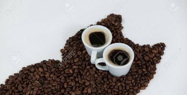 عکس قهوه اصل