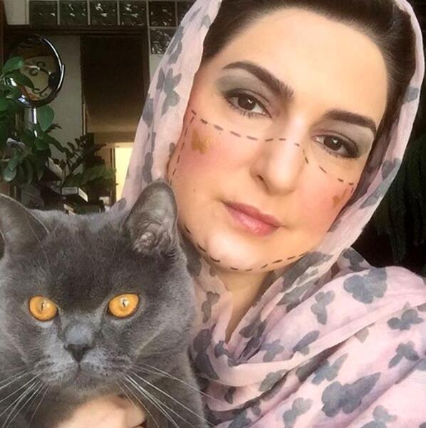 عکس گربه زرد