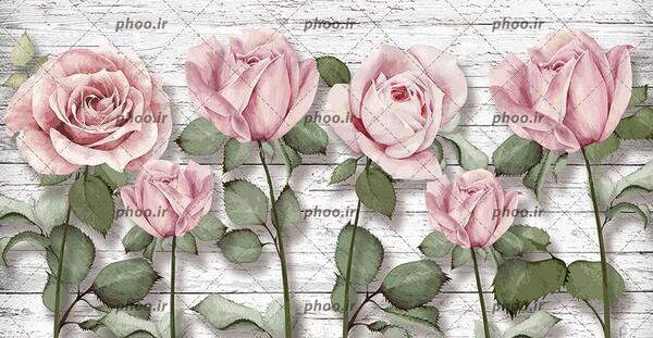 عکس گل زیبا برای کاغذ دیواری واتساپ