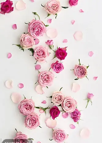 عکس گل زیبا برای کاغذ دیواری واتساپ