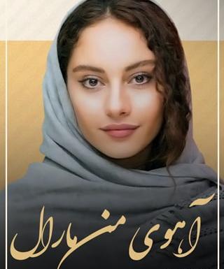عکس آهوی مارال