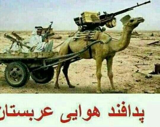 عکس های خنده دار شتر