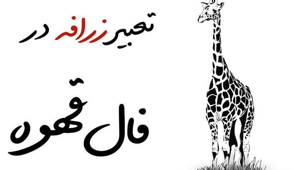 عکس لاک پشت در فال قهوه