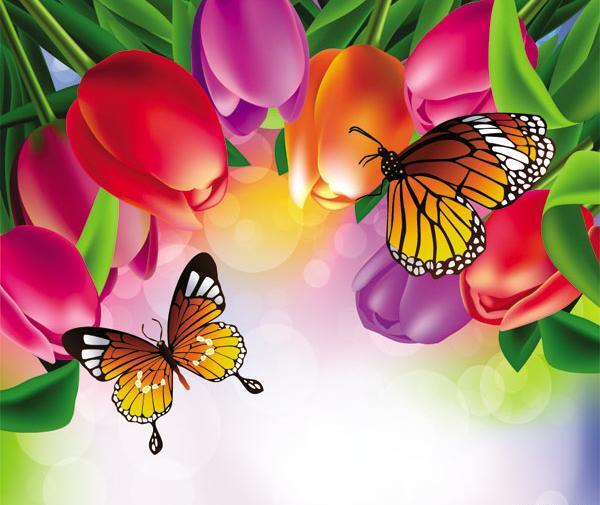 عکس پروانه لاله