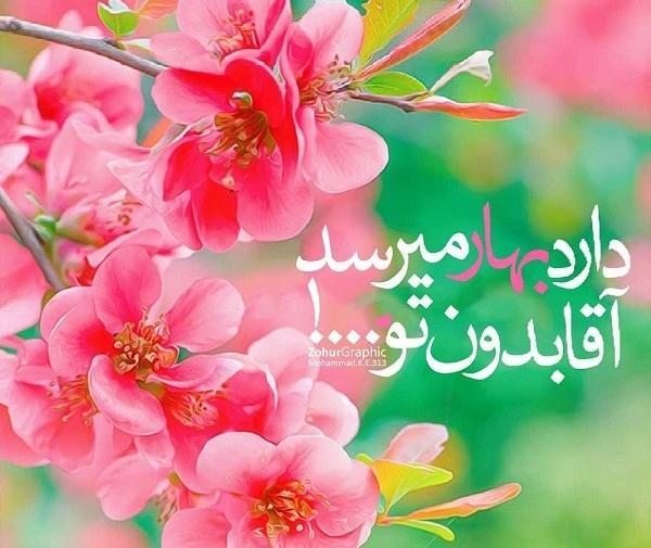 عکس نوشته بر جمال مهدی صلوات