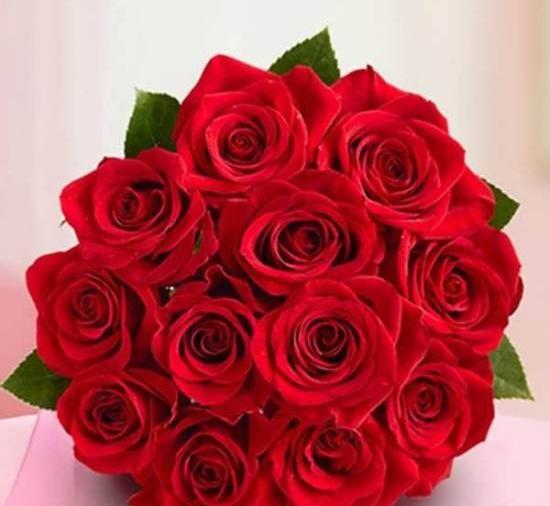 عکس گل های قشنگ