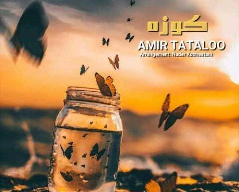 عکس تتلو رو کیک