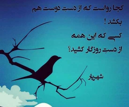 عکس نوشته عاشقانه شهریار