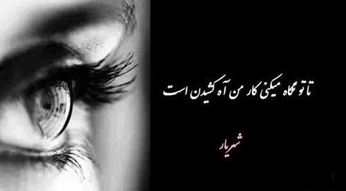 عکس نوشته عاشقانه شهریار