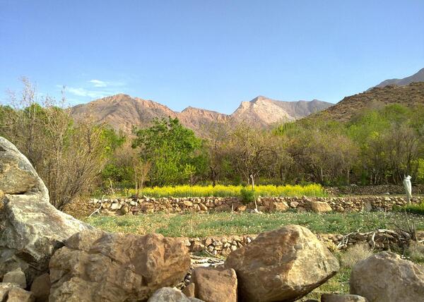عکس از طبیعت یزد